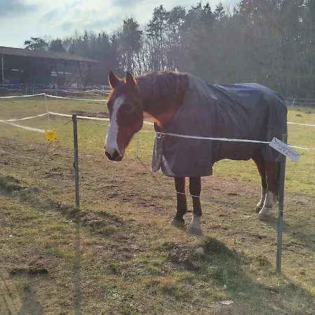 Mobil House Auf Tierschutz Landhof Inmitten Der Bei Luebeck Selmsdorf