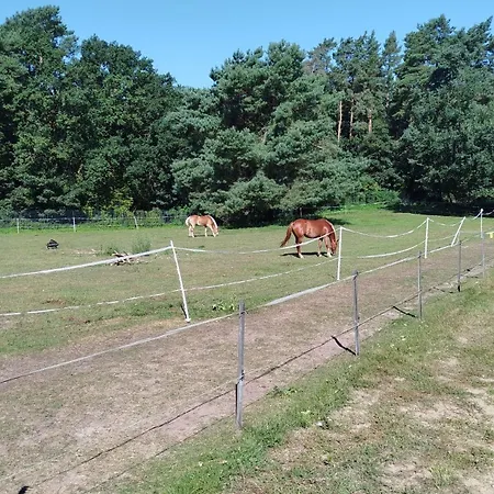 Appartement Mobil House Auf Tierschutz Landhof Inmitten Der Bei Luebeck *